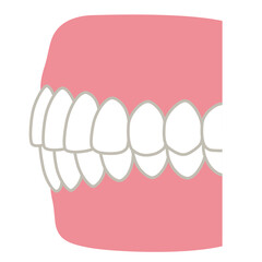 キレイな歯並び　歯科　歯列矯正