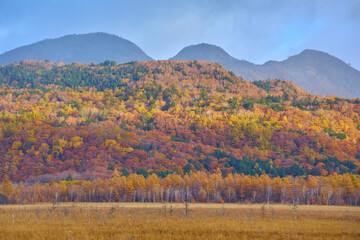秋の奥日光(戦場ヶ原)自然研究路より三岳(みつがだけ)方面を見る 