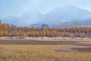 秋の奥日光 霧の中の小田代ヶ原