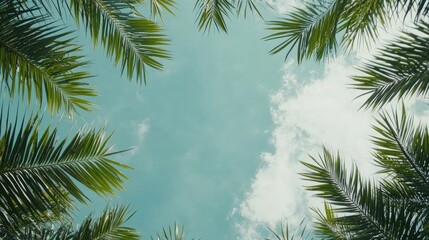 Obraz premium Lush Green Palm Leaves Framing Bright Blue Sky with Clouds