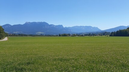Fototapeta premium Expansive Green Meadow Under Clear Blue Sky with Mountains in Distance