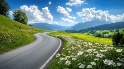 Scenic Curved Road Through Lush Green Landscape with Wildflowers