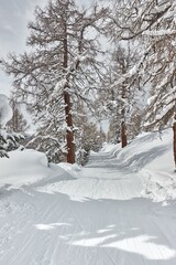 Winter Snowy Mountain Landscape