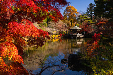 季節を感じる色鮮やかな紅葉　成田山公園