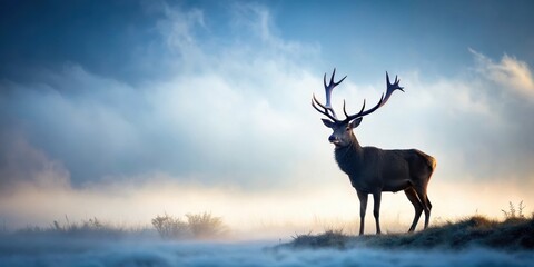 Naklejka premium Red deer stag silhouette in the mist with antlers and fur details, set against a soft gray and blue sky, misty landscape, outdoor scene