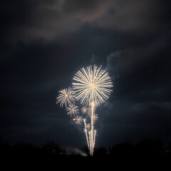firework party in the midnight