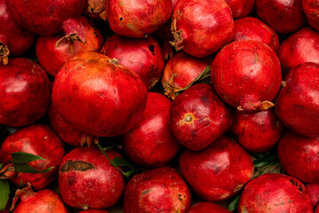 Pomegranate