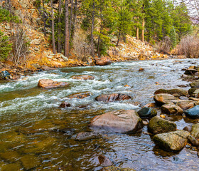 Pecos River Running Through Forest in Pecos Canyon, Pecos Canyon State Park, New Mexico, USA