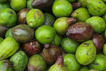 texture and background of avocado filling the frame