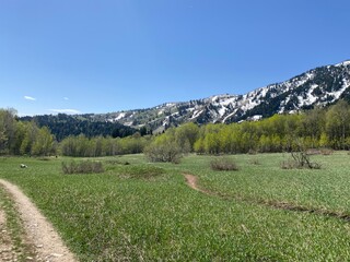Fototapeta premium Hiking Trail in Wasatch Mountains