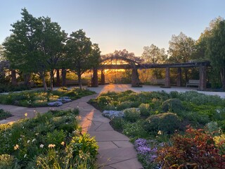 Blossoming Flowers in Outdoor Garden