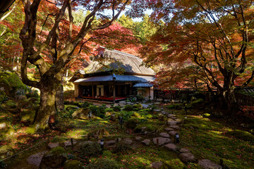 紅葉に包まれた教林坊の書院