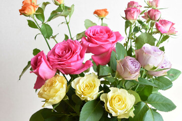 カラフルなバラ