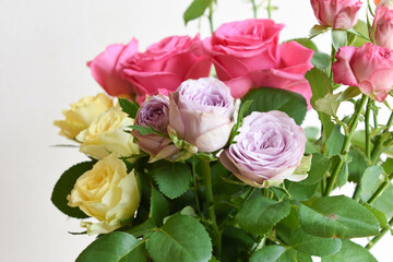 カラフルなバラ