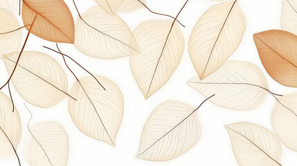 Obraz premium Transparent skeleton leaves creating a soft and elegant pattern