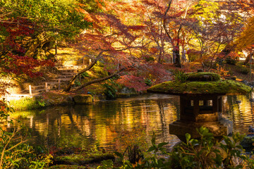 季節を感じる色鮮やかな紅葉　成田山公園