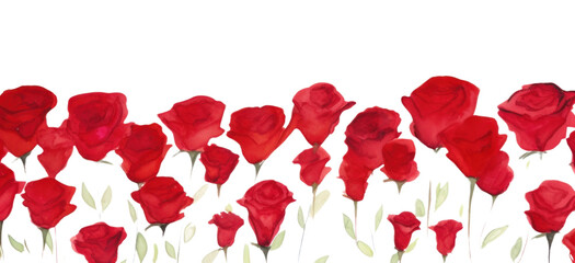 PNG  Red rose field backgrounds flower nature.