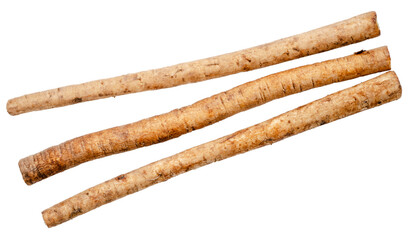 Gobo or Burdock Root herb medicinal plants isolated on white background. Kobo herb on white background PNG file.