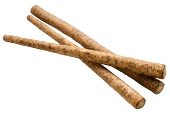 Gobo or Burdock Root herb medicinal plants isolated on white background. Kobo herb on white...