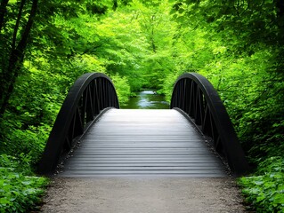 Obraz premium Quiet Moments on a Park Bridge Nature Landscape Peaceful Environment Tranquil View