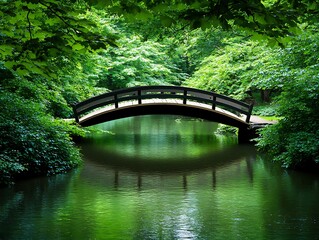 Quiet Park Moments Serene Bridge Reflections in Nature's Embrace