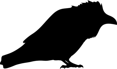 Bird Raven Crow Black Silhouette for Icon.