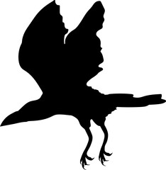 Bird Raven Crow Black Silhouette for Icon.