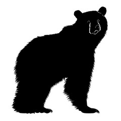 Black bear silhouette.