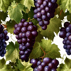 A rich design featuring clusters of grapes in deep purple and green tones, paired with curling grapevine leaves.