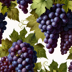 A rich design featuring clusters of grapes in deep purple and green tones, paired with curling grapevine leaves.