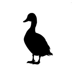 Black silhouette of a duck. (1)