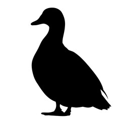 Black silhouette of a duck.