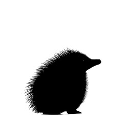 Hedgehog silhouette.