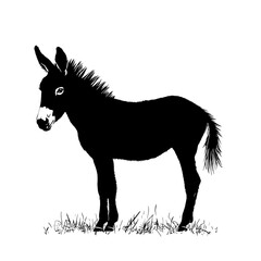 Black and white donkey silhouette.