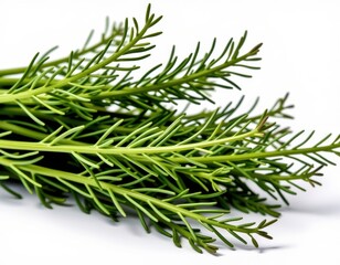 Vibrant, emerald-green asparagus ferns form a lush cluster against a crisp white backdrop, with delicate shadows adding depth to their intricate texture