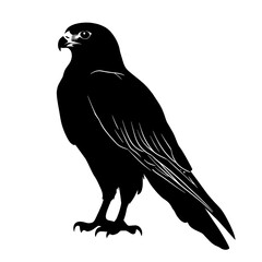 Black silhouette of a falcon. (3)