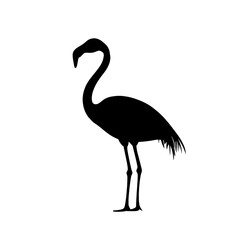 Fototapeta premium Black silhouette of a flamingo.