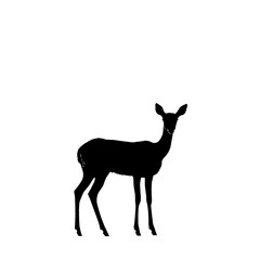 Black silhouette of a graceful impala.