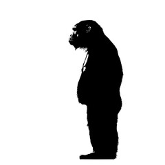 Silhouette of a chimpanzee.