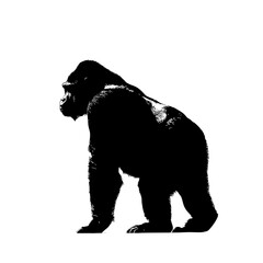 Silhouette of a gorilla standing.