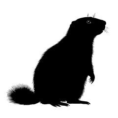 Black silhouette of a prairie dog. (1)