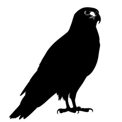 Black silhouette of a falcon. (6)