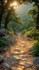 A serene forest path illuminated by sunlight, inviting exploration and tranquility.