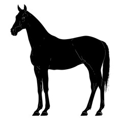 Black silhouette of a horse.