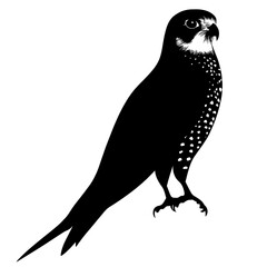 Black silhouette of a falcon.