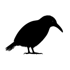 Silhouette of a bird.