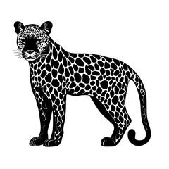 Black and white jaguar illustration.