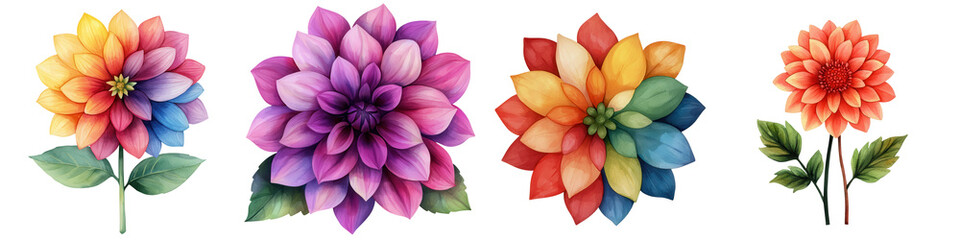 Fototapeta premium Vibrant watercolor dahlias in bold colors with lush green leaves, isolated on transparent background.