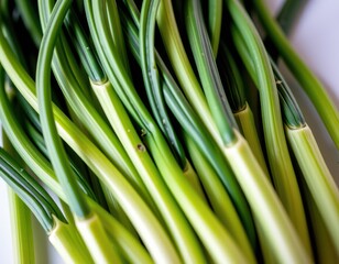 Fototapeta premium Vibrant green scallion bundle takes center stage, slender stems swaying upwards from crisp white background, flecked with a subtle brown dot at its heart