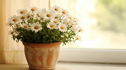 Fototapeta premium Beautiful White Daisies in a Rustic Clay Pot on a Windowsill, Bathed in Soft Natural Light with a Soft Focus Background